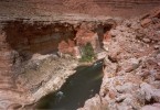 Vasey‘s Paradise Viewed From Hike - Environmental Experiences